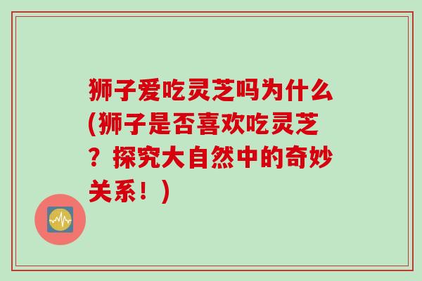 狮子爱吃灵芝吗为什么(狮子是否喜欢吃灵芝？探究大自然中的奇妙关系！)