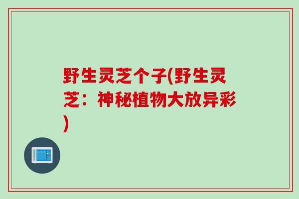 野生灵芝个子(野生灵芝：神秘植物大放异彩)