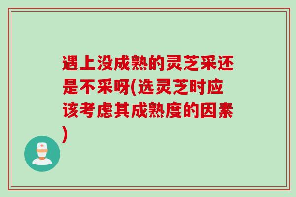 遇上没成熟的灵芝采还是不采呀(选灵芝时应该考虑其成熟度的因素)