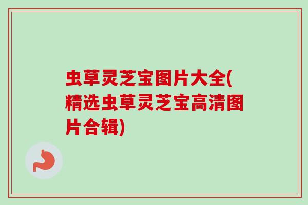 虫草灵芝宝图片大全(精选虫草灵芝宝高清图片合辑)