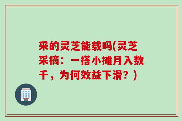 采的灵芝能载吗(灵芝采摘：一搭小摊月入数千，为何效益下滑？)