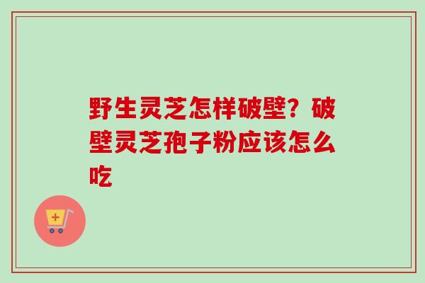 野生灵芝怎样破壁？破壁灵芝孢子粉应该怎么吃