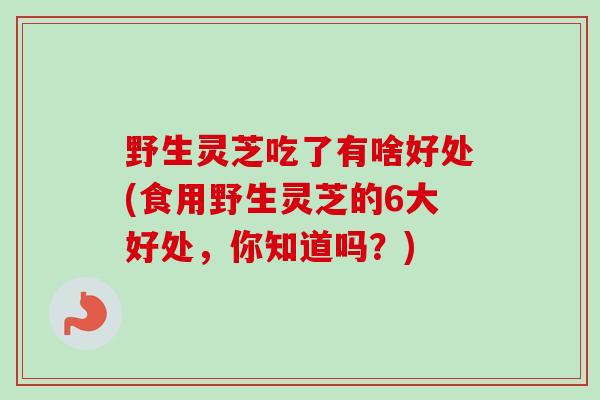 野生灵芝吃了有啥好处(食用野生灵芝的6大好处，你知道吗？)