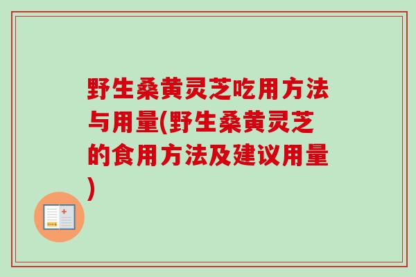 野生桑黄灵芝吃用方法与用量(野生桑黄灵芝的食用方法及建议用量)