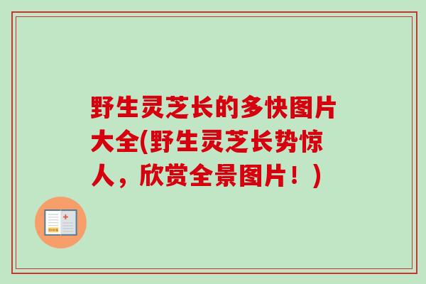 野生灵芝长的多快图片大全(野生灵芝长势惊人，欣赏全景图片！)