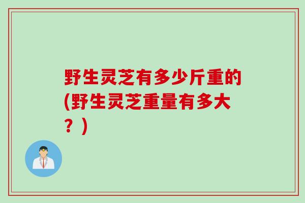 野生灵芝有多少斤重的(野生灵芝重量有多大?) 野生灵芝有多少斤重的(野生灵芝重量有多大?)