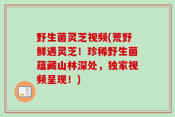 野生菌灵芝视频(荒野鲜遇灵芝！珍稀野生菌蕴藏山林深处，独家视频呈现！)