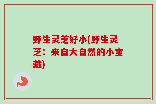 野生灵芝好小(野生灵芝：来自大自然的小宝藏)