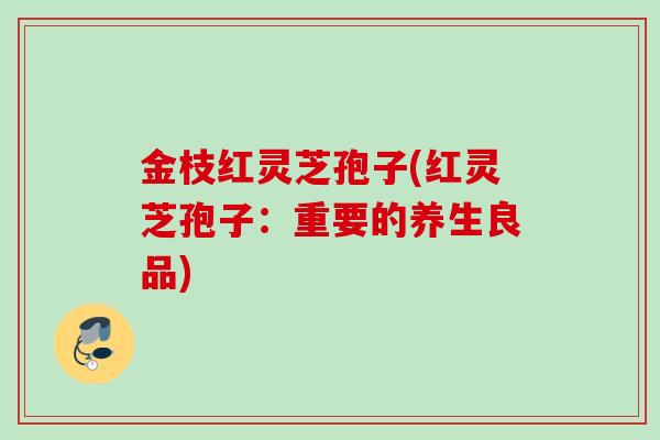 金枝红灵芝孢子(红灵芝孢子：重要的养生良品)