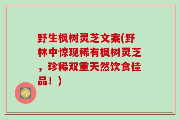 野生枫树灵芝文案(野林中惊现稀有枫树灵芝,珍稀双重天然饮食佳品!) 野生枫树灵芝文案(野林中惊现稀有枫树灵芝,珍稀双重天然饮食佳品!)