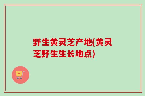 野生黄灵芝产地(黄灵芝野生生长地点)