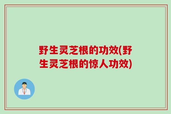 野生灵芝根的功效(野生灵芝根的惊人功效)