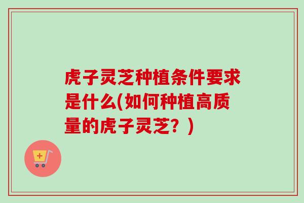 虎子灵芝种植条件要求是什么(如何种植高质量的虎子灵芝？)
