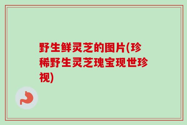 野生鲜灵芝的图片(珍稀野生灵芝瑰宝现世珍视)