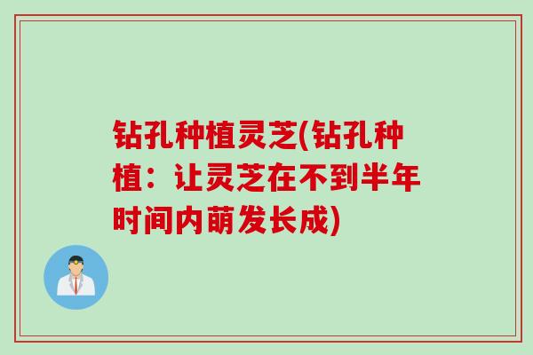 钻孔种植灵芝(钻孔种植:让灵芝在不到半年时间内萌发长成) 钻孔种植灵芝(钻孔种植:让灵芝在不到半年时间内萌发长成)