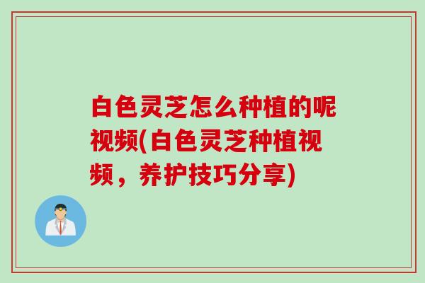 白色灵芝怎么种植的呢视频(白色灵芝种植视频，养护技巧分享)