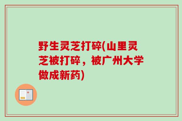 野生灵芝打碎(山里灵芝被打碎，被广州大学做成新药)