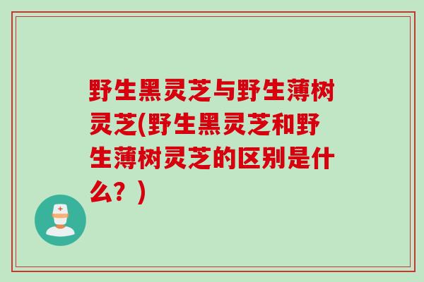 野生黑灵芝与野生薄树灵芝(野生黑灵芝和野生薄树灵芝的区别是什么?) 野生黑灵芝与野生薄树灵芝(野生黑灵芝和野生薄树灵芝的区别是什么?)
