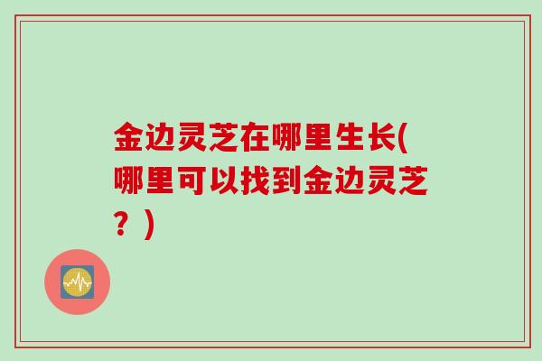 金边灵芝在哪里生长(哪里可以找到金边灵芝？)