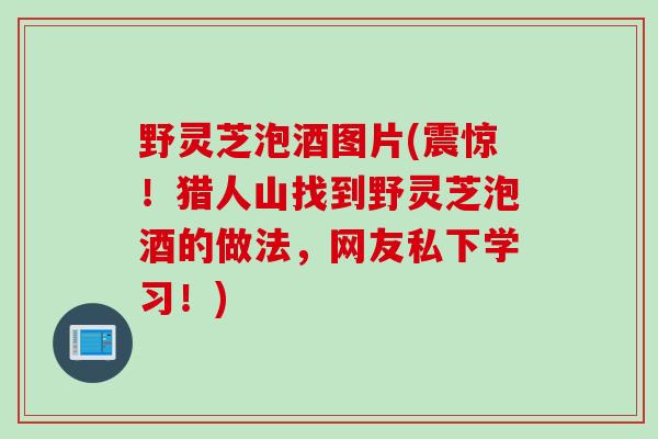野灵芝泡酒图片(震惊！猎人山找到野灵芝泡酒的做法，网友私下学习！)