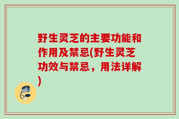 野生灵芝的主要功能和作用及禁忌(野生灵芝功效与禁忌，用法详解)