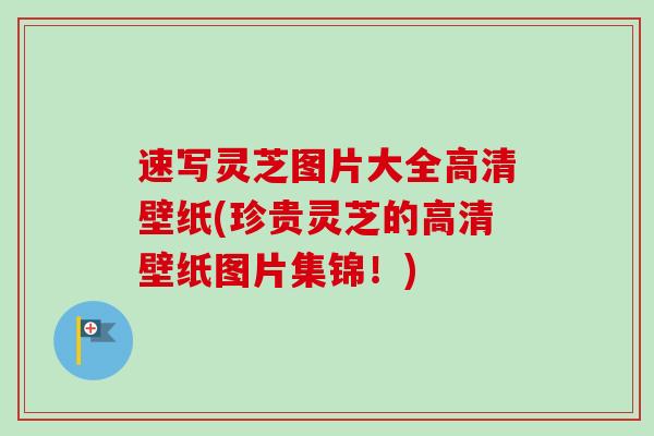 速写灵芝图片大全高清壁纸(珍贵灵芝的高清壁纸图片集锦！)