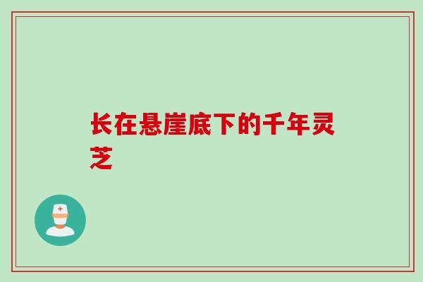 长在悬崖底下的千年灵芝