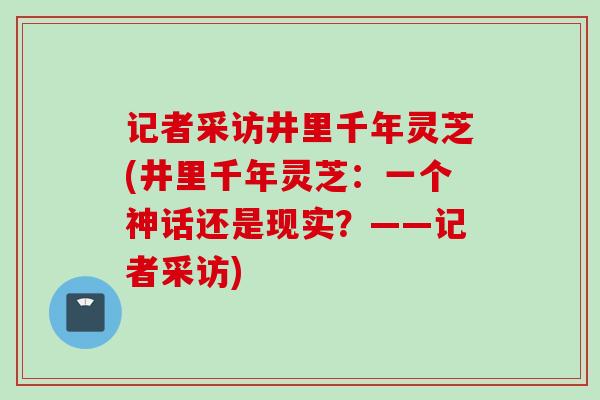 记者采访井里千年灵芝(井里千年灵芝：一个神话还是现实？——记者采访)