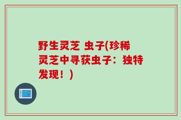 野生灵芝 虫子(珍稀灵芝中寻获虫子:独特发现!) 野生灵芝 虫子(珍稀灵芝中寻获虫子:独特发现!)