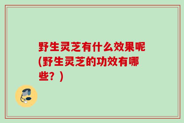 野生灵芝有什么效果呢(野生灵芝的功效有哪些？)
