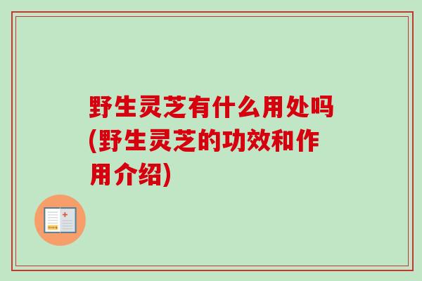 野生灵芝有什么用处吗(野生灵芝的功效和作用介绍)