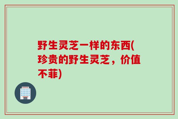 野生灵芝一样的东西(珍贵的野生灵芝，价值不菲)