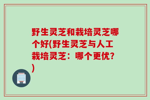 野生灵芝和栽培灵芝哪个好(野生灵芝与人工栽培灵芝：哪个更优？)