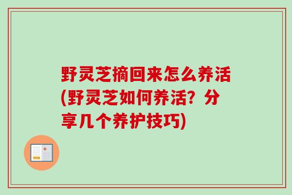 野灵芝摘回来怎么养活(野灵芝如何养活？分享几个养护技巧)