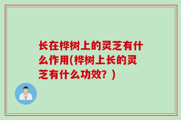 长在桦树上的灵芝有什么作用(桦树上长的灵芝有什么功效？)