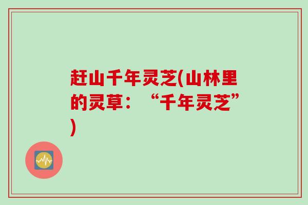 赶山千年灵芝(山林里的灵草:“千年灵芝”) 赶山千年灵芝(山林里的灵草:“千年灵芝”)