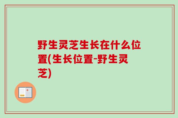 野生灵芝生长在什么位置(生长位置-野生灵芝)