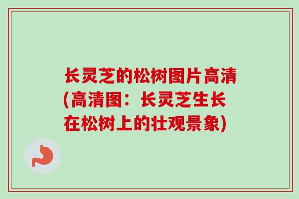 长灵芝的松树图片高清(高清图：长灵芝生长在松树上的壮观景象)