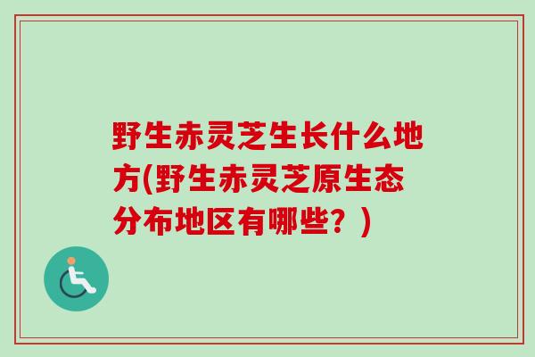 野生赤灵芝生长什么地方(野生赤灵芝原生态分布地区有哪些？)