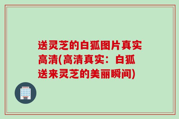 送灵芝的白狐图片真实高清(高清真实：白狐送来灵芝的美丽瞬间)
