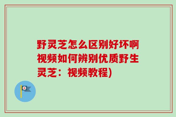 野灵芝怎么区别好坏啊视频如何辨别优质野生灵芝:视频教程) 野灵芝怎么区别好坏啊视频如何辨别优质野生灵芝:视频教程)