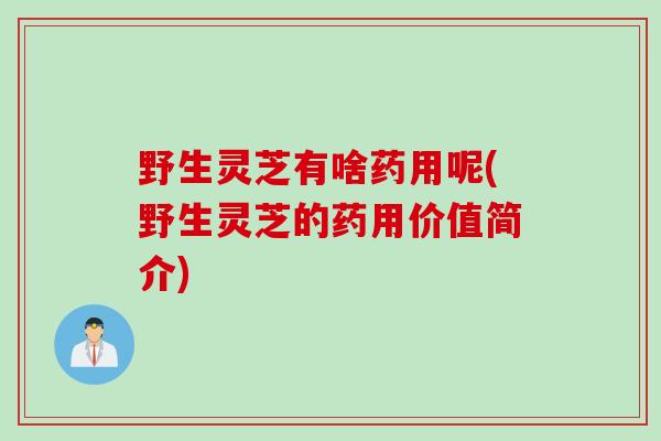 野生灵芝有啥药用呢(野生灵芝的药用价值简介) 野生灵芝有啥药用呢(野生灵芝的药用价值简介)