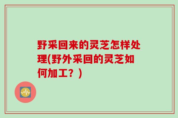 野采回来的灵芝怎样处理(野外采回的灵芝如何加工？)
