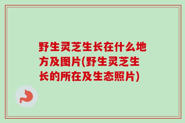 野生灵芝生长在什么地方及图片(野生灵芝生长的所在及生态照片)