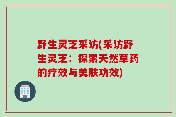 野生灵芝采访(采访野生灵芝：探索天然草药的疗效与美肤功效)