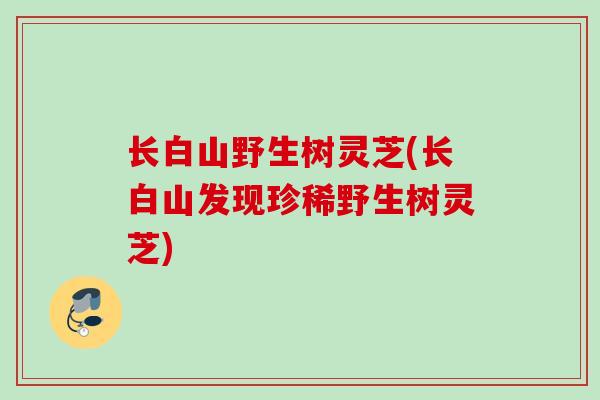 长白山野生树灵芝(长白山发现珍稀野生树灵芝) 长白山野生树灵芝(长白山发现珍稀野生树灵芝)
