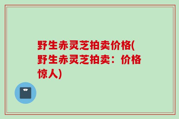 野生赤灵芝拍卖价格(野生赤灵芝拍卖：价格惊人)