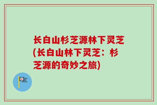 长白山杉芝源林下灵芝(长白山林下灵芝：杉芝源的奇妙之旅)