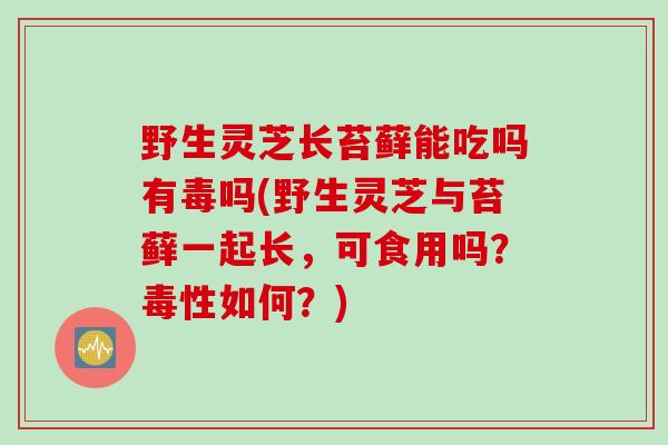 野生灵芝长苔藓能吃吗有毒吗(野生灵芝与苔藓一起长,可食用吗?毒性如何?) 野生灵芝长苔藓能吃吗有毒吗(野生灵芝与苔藓一起长,可食用吗?毒性如何?)