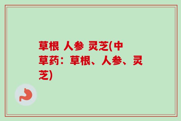 草根 人参 灵芝(中草药：草根、人参、灵芝)
